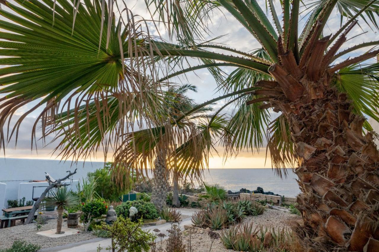 Little Paradise In El Medano غراناديا دي أبونا المظهر الخارجي الصورة