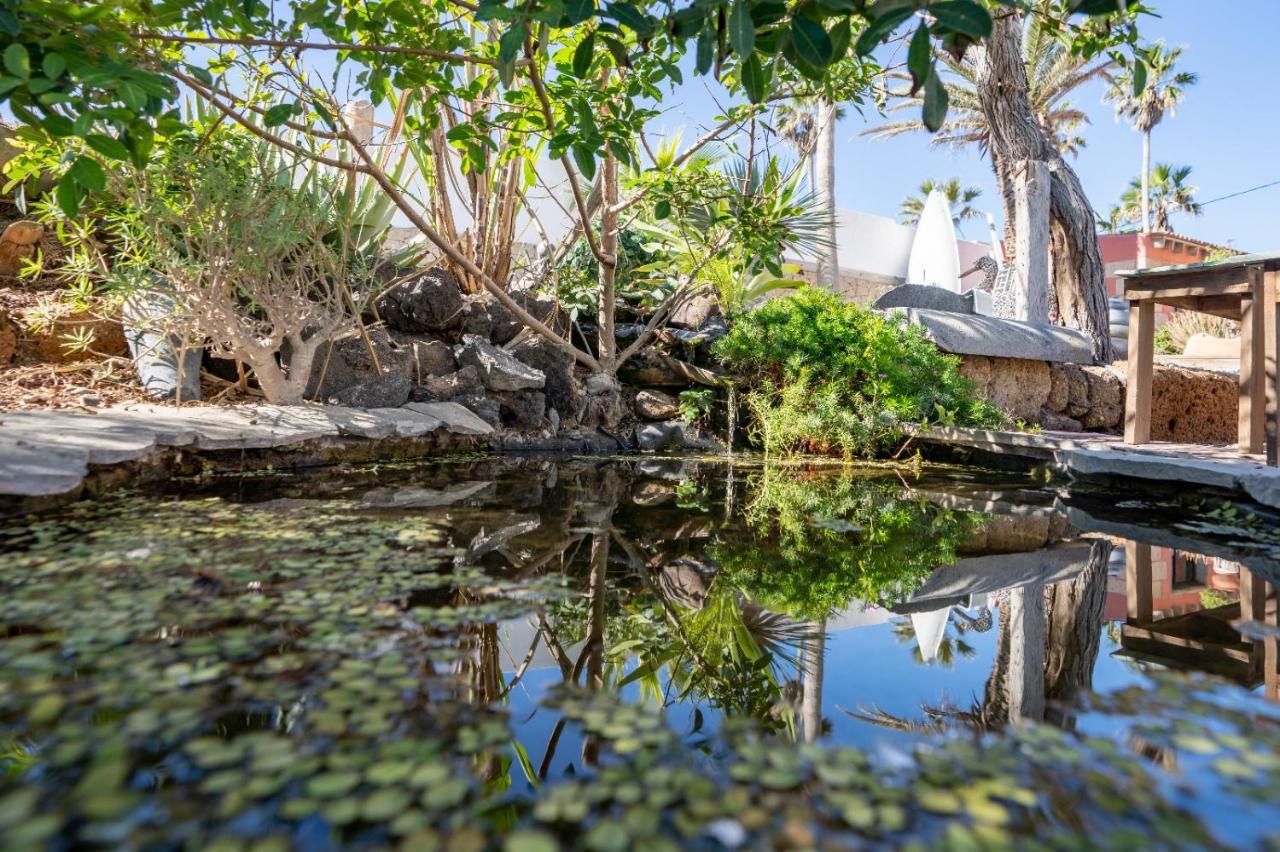 Little Paradise In El Medano غراناديا دي أبونا المظهر الخارجي الصورة