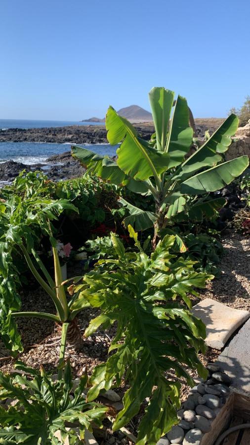 Little Paradise In El Medano غراناديا دي أبونا المظهر الخارجي الصورة