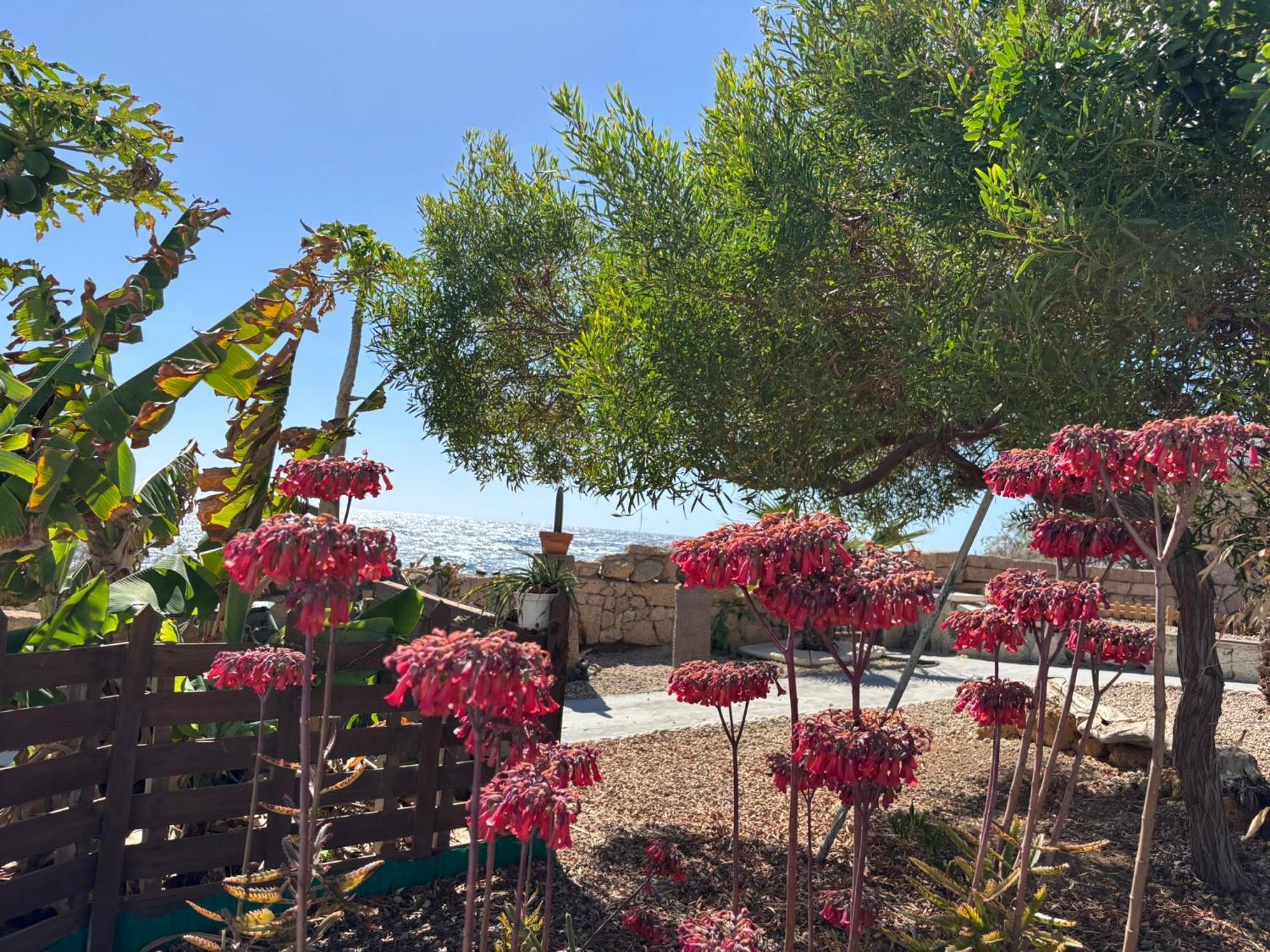 Little Paradise In El Medano غراناديا دي أبونا المظهر الخارجي الصورة